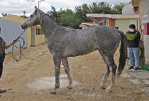 �ݺ��� (GEUMBITMA) ����