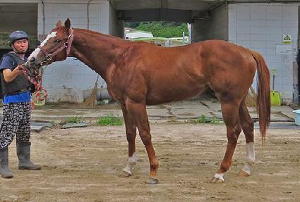 ���̿� ����