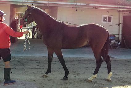 ����Ͽ����� ����