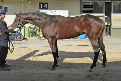 ����ϺҸ� ����