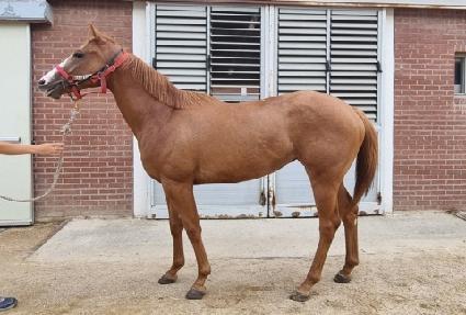 �̶�Ŭ�� ����