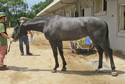 ��Ű��� ����