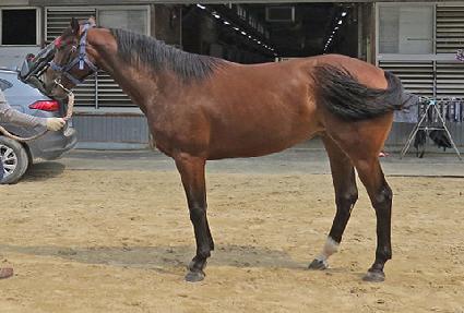 ����ȣ�� ����