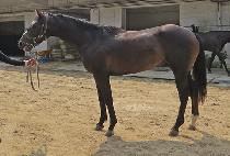 �ְ����̽� (CHOEGANG NICE) ����