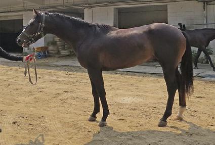 �ְ����̽� ����