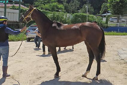 ������� ����