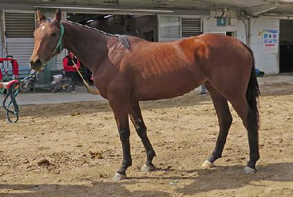 ���� ����