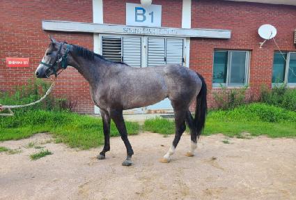 ������ ����