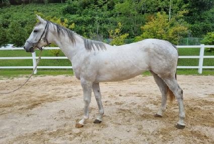 �۷ι������� ����