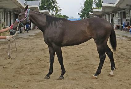 ������� ����