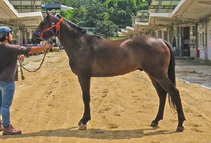 ��ƶ󰡰� ����