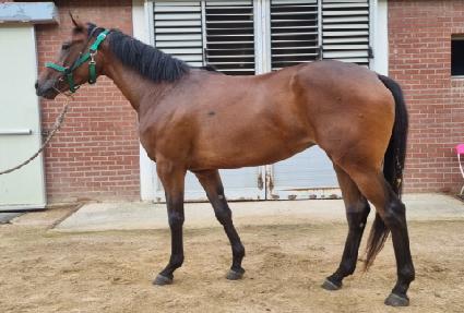 ��ȣ���� ����