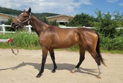 ���̽����� ����