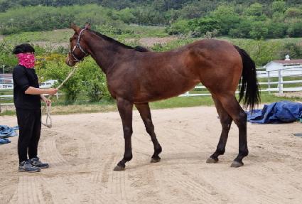 �׷��ɷ����� ����