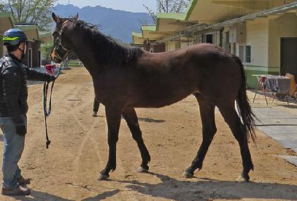 �ǿ������ɽ� ����