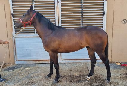 ����ȸ���Ʈ ����