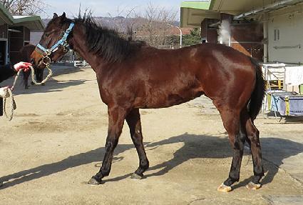 �����Ŀ� ����