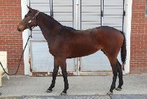 �ϴñ�� (HANEUL GIPPEUM) ����