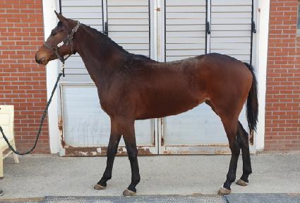 �ϴñ�� ����