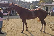 ���̸�� (K MOTION) ����