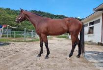 CONTROL TOWER picture