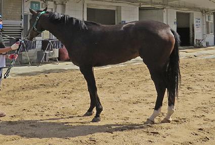 ���õ ����