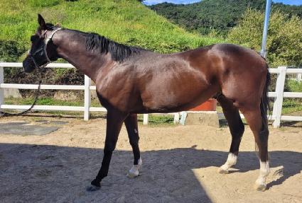 ���͸�ī ����