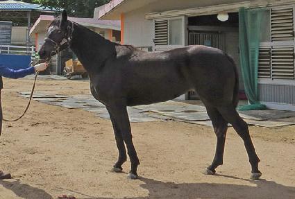 ���ٶ� ����