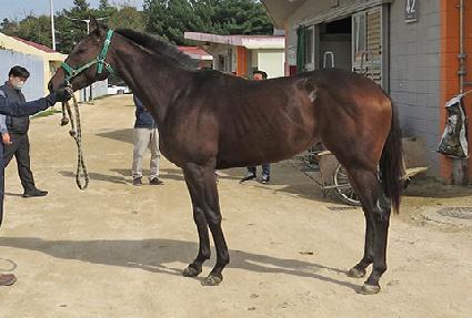 ���̽������� ����