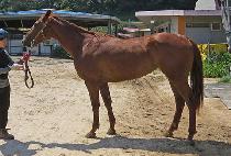 Ŭ������ũ (CLAIR PARK) ����