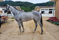 WHITE MARINE picture