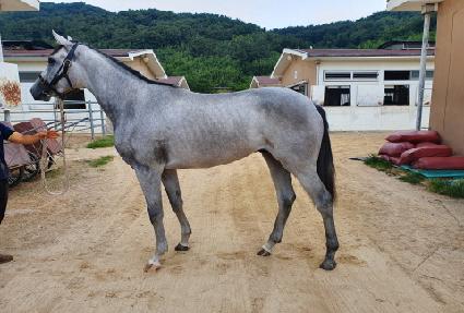 ȭ��Ʈ���� ����