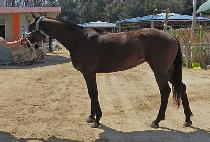 ���ǿ��� (SINUI YEOIN) ����