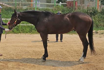 �ָ�õ�� ����