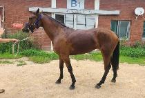 ���̹��̵��� (DAY BY DAY) ����