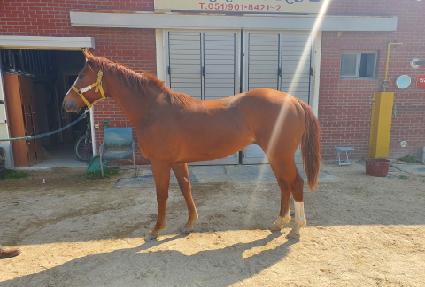 ��Ʈ���ǵ� ����