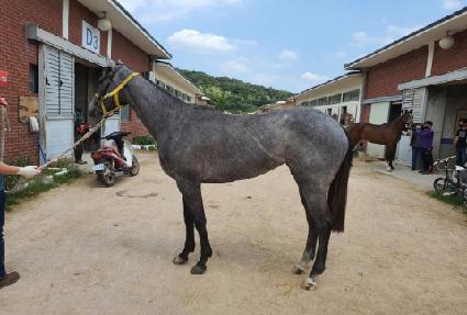 ������ ����