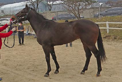 ��Ż�� ����