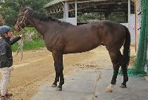 �����뺸 (DANGCHAN DAEBO) ����