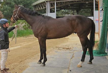 �����뺸 ����