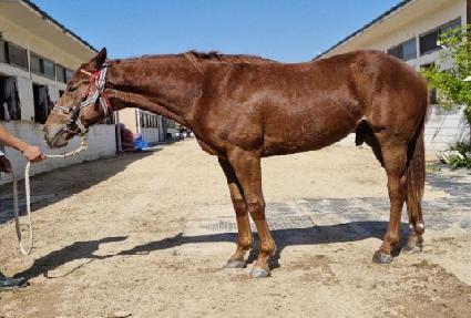 ����ī�� ����