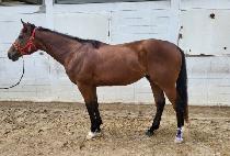 �¸��ǿ��� (SEUNGNIUIYEONGUNG) ����