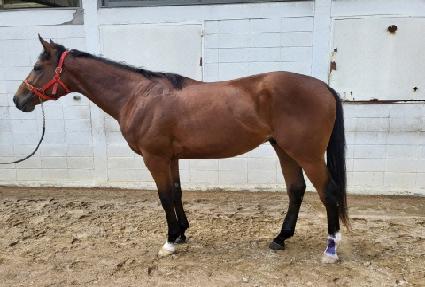 �¸��ǿ��� ����