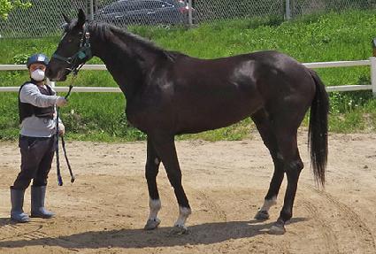 ����ô� ����