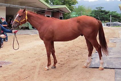 ��Ķ�� ����