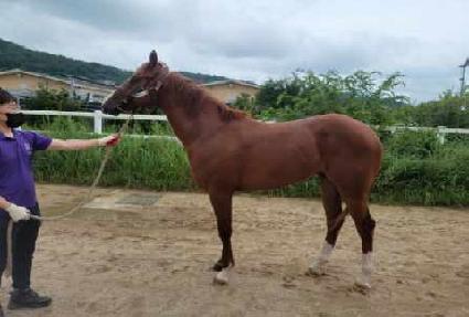 ��Ÿ��ƽ���� ����