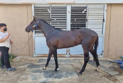 ���Ѱ��� ����