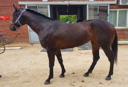 �������� ����