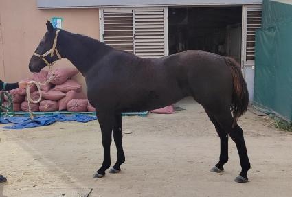 �������ġ ����