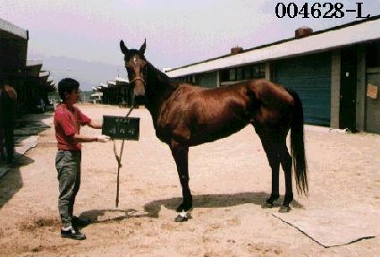 ���ƾ� ����